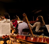 Convocatòria d'una ajuda de muntatge i control de material i arxiu per a l'Orquestra Filharmònica de la Universitat d'Alacant