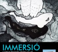 El MUA presenta l'exposició "Immersió"