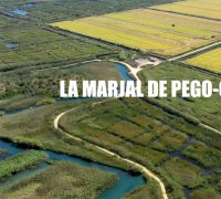 Proyección del documental "La Marjal de Pego-Oliva", realizado por el Taller de Imagen
