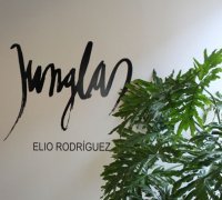 El artista cubano Elio Rodríguez inaugura "Junglas" en el MUA